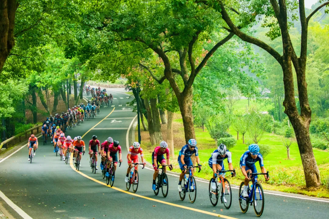 你手里的票根，又升值了！