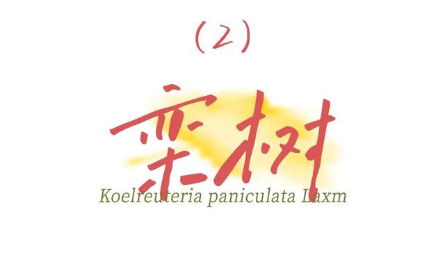我宣布：高明的秋天开始了！