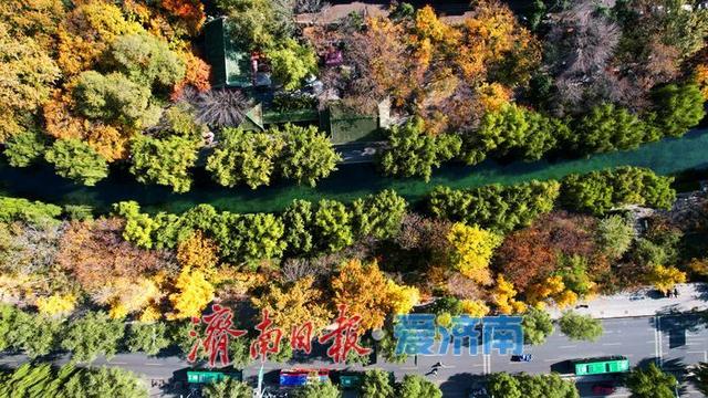 一年四季 泉在济南丨济南护城河初冬景如画 游人打卡赏斑斓