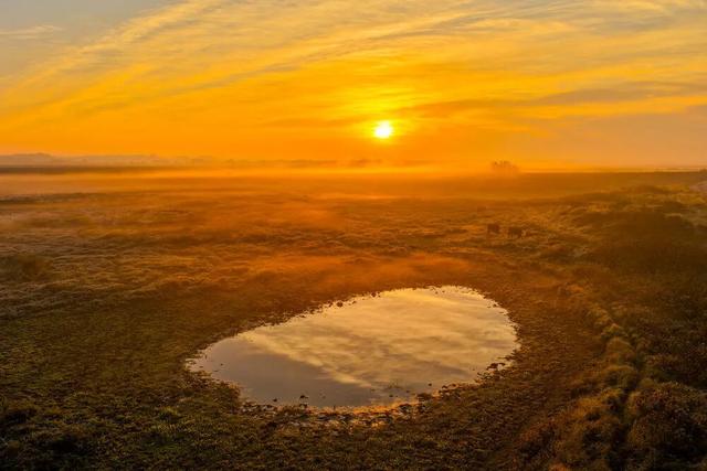 “暴力黄”全开！汨罗江雾、水垅村银杏……惊艳登场