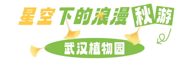 天黑不打烊，来东湖来过夜生活！