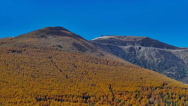 五台山的秋天，太治愈了！