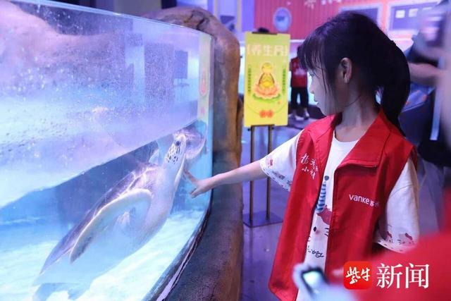 海狮“托马斯”邀你共度奇妙时光！扬子晚报苏州小记者海洋探索之旅来啦