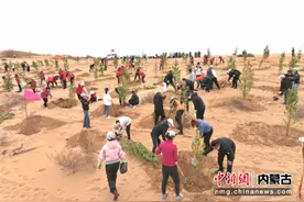 鄂托克旗苏米图苏木：打好治沙攻坚战 保护黄河“几字弯”图片