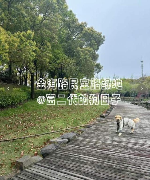 浦东板块高评价宝藏遛狗地分享--持续更新