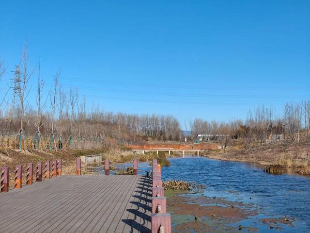 离城市很近的“观鸟天堂”！昌平“飞鸟集”观鸟主题公园开放