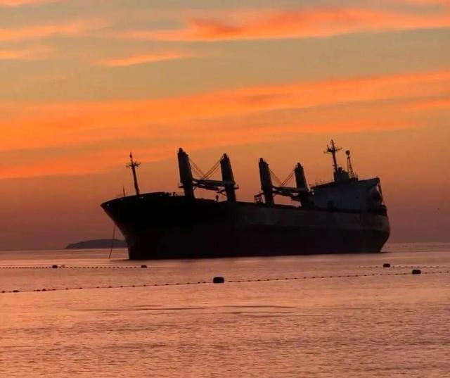 冬天！所有人都该来荣成见一见“永不失约”的布鲁威斯