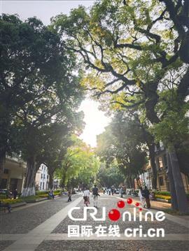 广州沙面岛的旅游印记与乡愁回响（两岸观察）