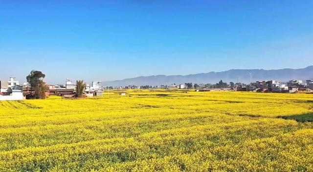 现在就出发，来姚安！