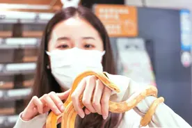 黄金蟒是“贪吃蛇”、广西带“蛇”名的植物有80多种图片