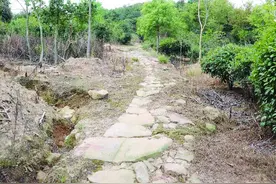 南京江宁横山发现明清古道 襟连苏皖两省图片