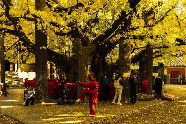 跟着影视剧去旅行｜又上新啦！快来日照&临沂过周末吧！