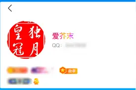 腾讯QQ出现全球首位256级用户，解锁新等级图标“时光企鹅”图片
