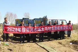 黑龙江东宁：连续36年放流大马哈鱼鱼苗超1500万尾图片