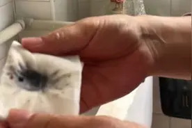 信阳一学校自来水味道刺鼻、有黑色颗粒物？学校：正进行水质检测视频封面