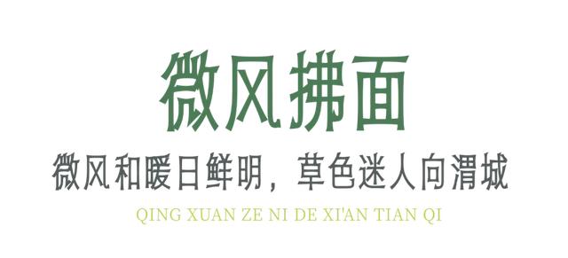 道不尽的诗意，还藏在碑林的天气里~