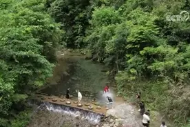 新玩法、新模式、新业态“欣欣向荣” 夏日旅游经济释放火热活力图片