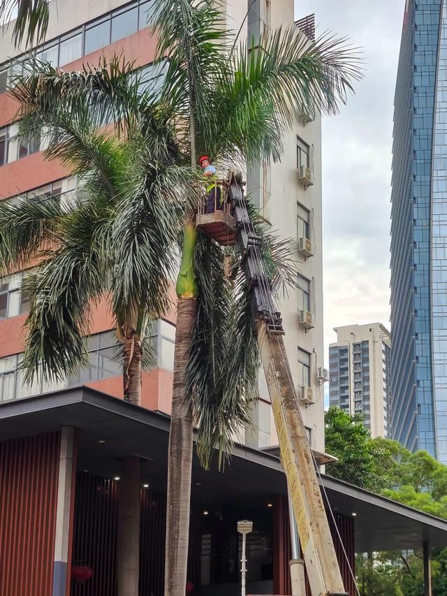 为避台风深圳人搬进无窗酒店