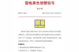 最新！临沂发布市区雷电黄色预警信号图片