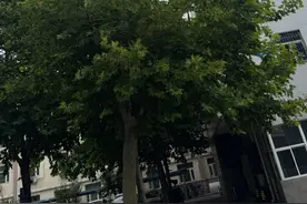 雨连连！河北开启多雨模式 局地有暴雨并伴强对流天气图片