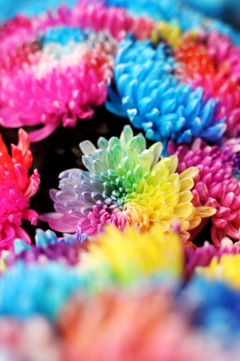 现在来开封，就做这三件事！