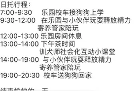 一个月上万，年轻人送狗狗去幼儿园学“装死”图片