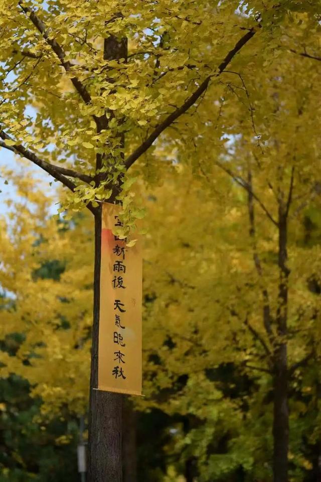 秋风引路入曲江，芙蓉金叶映红墙