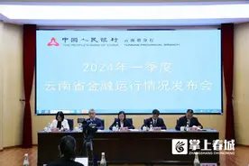 可刷卡，不占年度购汇额度！出境游支付越来越便捷图片