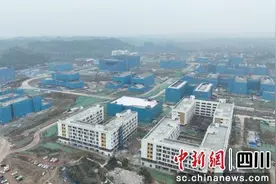 南充市医学科学产业园30栋建筑主体封顶图片