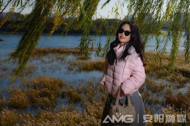 视觉安阳丨风吹殷墟芦苇白 水净天青入画来