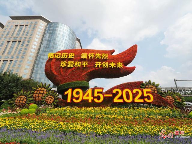 纪念抗战胜利80周年主题花坛亮相北京长安街