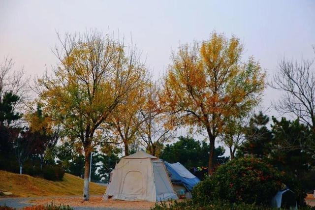 真正的浪漫，是冬天去威海看海