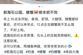 深圳前海石公园有人“赶海”？管理方：有警示牌及巡查劝阻图片