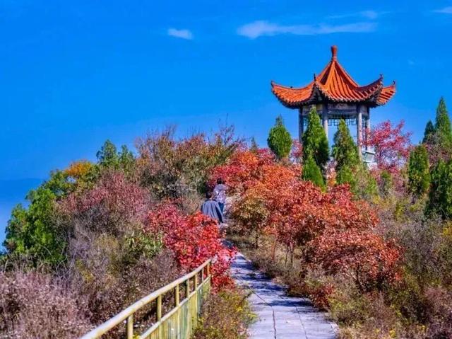 荆紫仙山红叶已进入最佳观赏期！