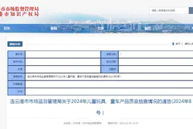 江苏省连云港市市场监督管理局发布2024年儿童玩具、童车产品质量抽查情况（2024年8号）图片