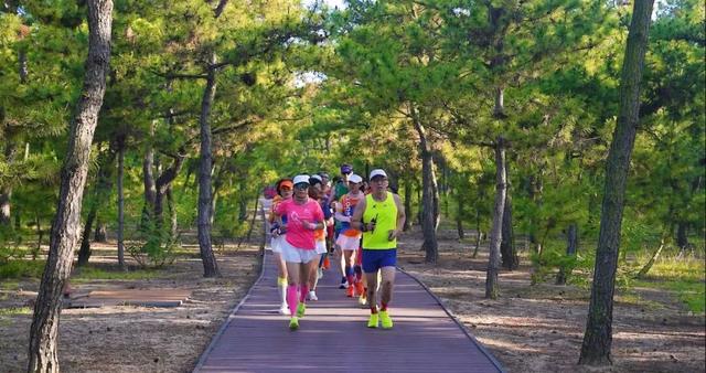 金秋重逢乐威海丨沐风追光·山海自驾之旅