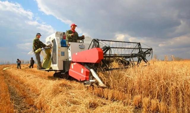 不来珲春，怎知秋色如许？（惊艳美图来袭）