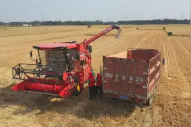 提单产、减损耗、“战”旱情——燕赵大地“三夏”生产一线观察图片