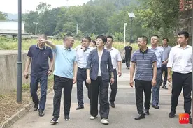 刘筱柳在青白江区督导检查防灾减灾和安全生产工作图片