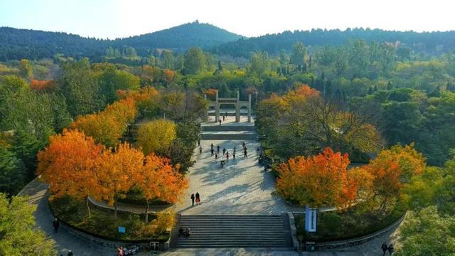 在平阴，有一种幸福是“家在公园里”