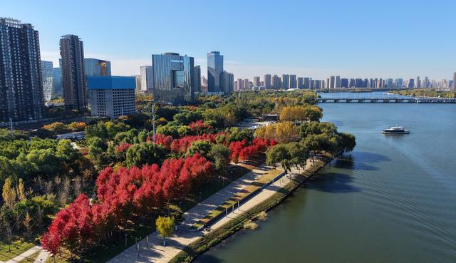 辽宁沈阳：秋意正浓 景色如画