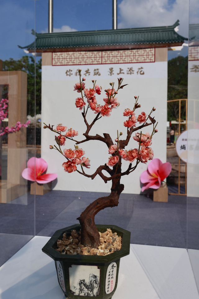 高能预警！现场直击丰顺绝美花墙、花路...
