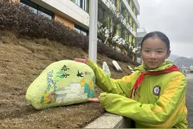 紫云苗族布依族自治县印山书院“石头画”彰显文化自信图片