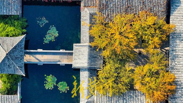 趵突泉公园开启变色模式，层林浸染触摸诗情画意