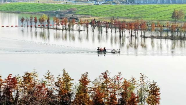 合肥的冬，正把限定浪漫写进倒计时里
