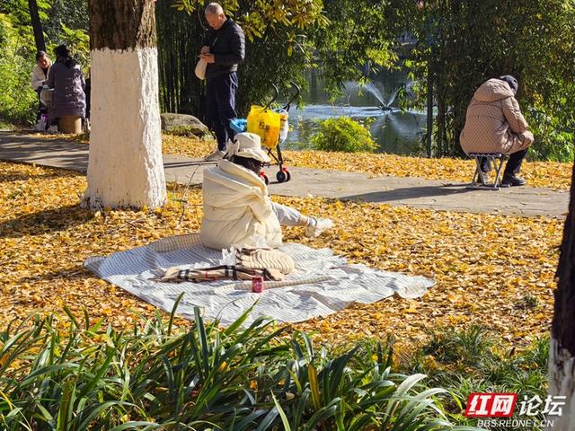 长沙人的周末：去烈士公园赴一场秋冬之约