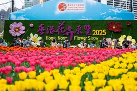 图片新闻｜香港花卉展览开幕图片