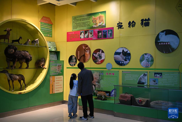 校馆弦歌·新华图库丨走进西北农林科技大学博览园