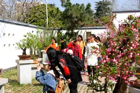 “海棠醉碧沙，与春共此时”，这个周末来碧沙岗公园赏花吧图片