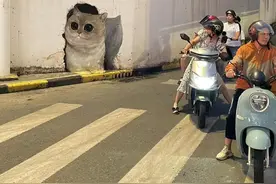 “300万人围观的墙绘被毁坏” 律师：涂鸦者与毁坏者均属在公共墙壁乱涂乱画图片